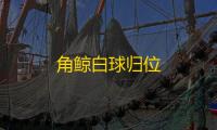 角鲸白球归位